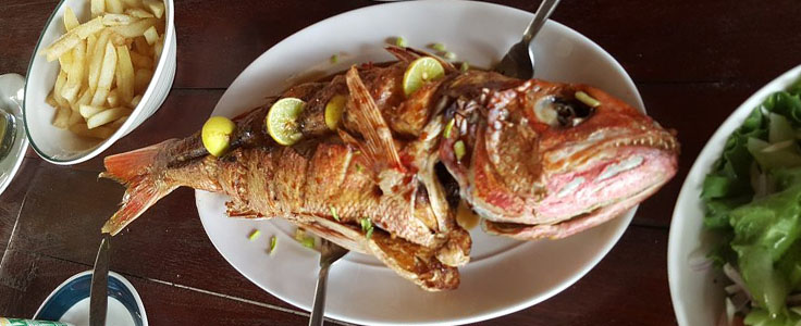 Fish dish.