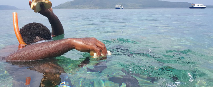 Feeding the fish