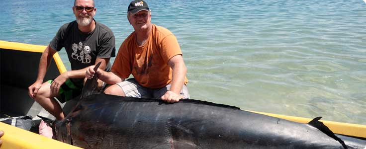 Marlin.